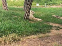 -秦皇岛野生动物园