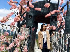 -天适樱花悠乐园