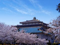 -武汉大学-樱园