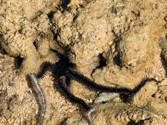 -普吉岛凯悦酒店