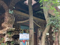 -呀路古热带植物园