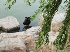 -天津东丽湖风景区