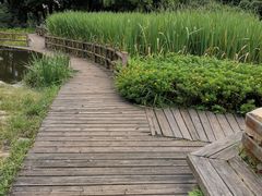 -成都市活水公园