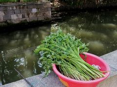 -丝绸小镇荻港古村