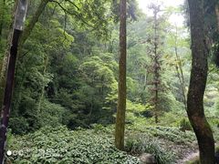 -青城山