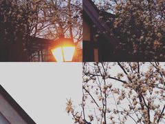 -颐和路民国时期公馆-风貌区