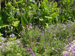 -国家植物园南园