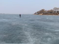 -丁香湖公园