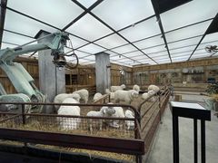 -Gucci(北京SKP店)