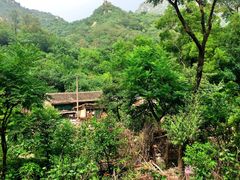-大岭沟猕猴桃谷风景区