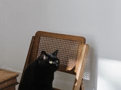 -春风十里咖啡馆