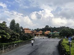 -三水森林公园