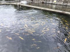 -天源渔港农庄