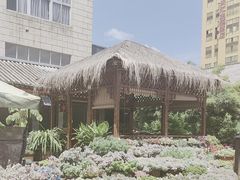 -山菌美食苑(振兴路店)