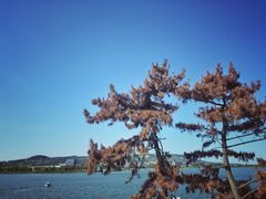 -南京金牛湖风景区