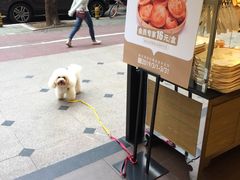 -御蝶坊生日蛋糕KNAC(新村店)