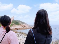 -广东惠东海龟国家级自然保护区