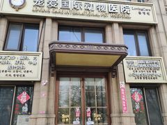 -宠爱国际动物医院·消化内科·心肾内科·ISFM猫友好(望京店)