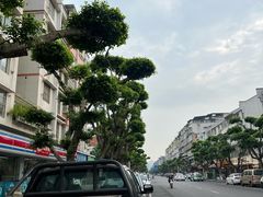 -小豆海棠(嘉兴路店)