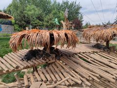 -石家庄市动物园