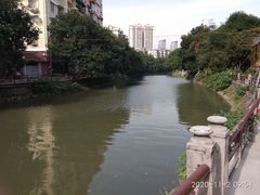 -晓港公园