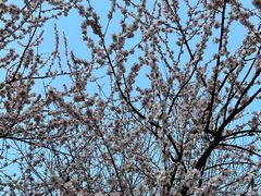 -马栏河运动公园