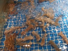-小时候焗海鲜(鄞州万达店)