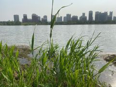 -永定河休闲森林公园