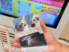 -海底捞火锅(吾悦国际广场店)