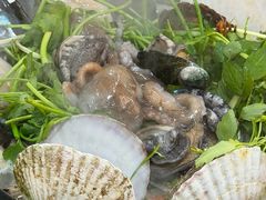 -大关领烤贝壳海鲜汤