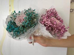 -满天星母婴月子中心(湖塘馆)