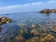 -养马岛旅游度假区
