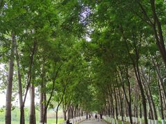 -东郊湿地公园