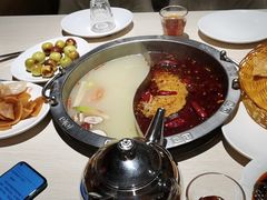 鸳鸯锅底-蜀留香火锅(西南角店)