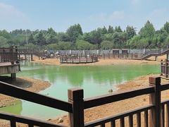 -日照海滨国家森林公园