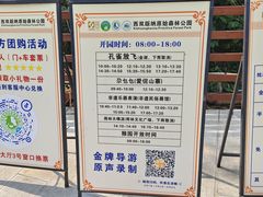 -西双版纳原始森林公园