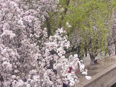 -元大都城垣遗址公园