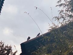 -中国酒文化城