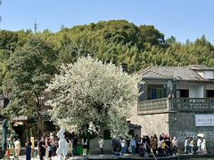 -晓琦农家菜馆·地道农家菜