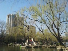 -紫竹院公园冰场
