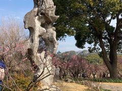 -无锡梅园公园