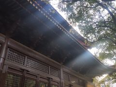 -亭林园-华藏寺