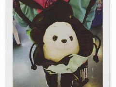 -上海海洋水族馆