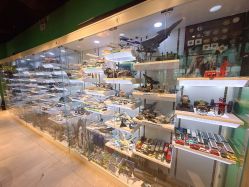 点击看大图 -欧酷世界动力星球(王府井奥莱UP TOWN店)