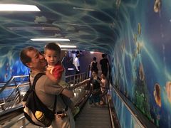 -东方明珠国际旅行社有限公司