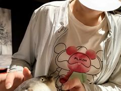 -肆月河豚·淮扬菜·湘菜(华天店)