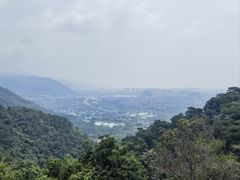 -鼎湖山风景区