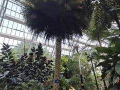 -南山植物园