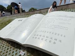 -观潮胜地公园