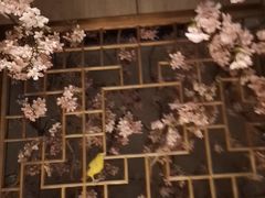 -野妹火锅(布吉店)